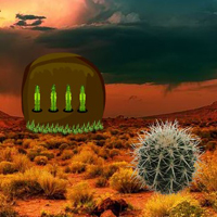 Free online html5 games - Armadillo Rescue from Desert game - WowEscape