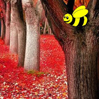 Free online html5 games - Autumn Fall Forest Escape  game - WowEscape