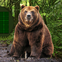 Free online html5 games - Big Bear Land Escape game - WowEscape