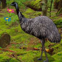 Free online html5 games - Big Emu Forest Escape game - WowEscape