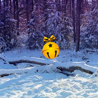 Free online html5 games - Escape from Snow Christmas Forest game - WowEscape