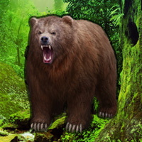 Free online html5 games - Grizzly Bear Forest Escape game - WowEscape