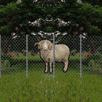 Free online html5 games - Nature Village Sheep Rescue game - WowEscape