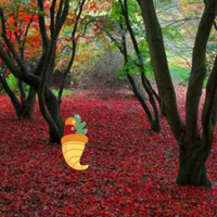 Free online html5 games - Thanksgiving Red Autumn Forest Escape game - WowEscape