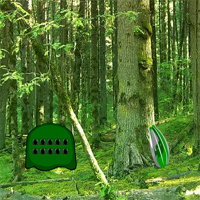 Free online html5 games - Tropical Evergreen Forest Escape game - WowEscape