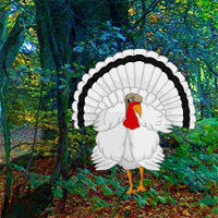 Free online html5 games - White Turkey Forest Escape game - WowEscape