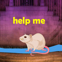 Free online html5 games - Assist The White Rat HTML5 game - WowEscape