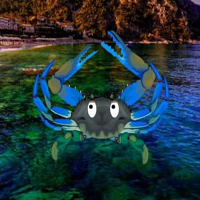 Free online html5 games - Crab Island Escape HTML5 game - WowEscape