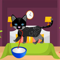 Free online html5 games - Hungry Cat Escape game - WowEscape