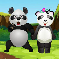 Panda Meet The Friend