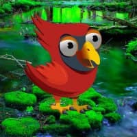 Free online html5 games - Red Angry Bird Escape HTML5 game - WowEscape