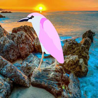 Free online html5 games - Woodpecker Escape From Island HTML5 game - WowEscape