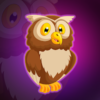 Free online html5 games - G2J Cute Desert Owl Rescue game 